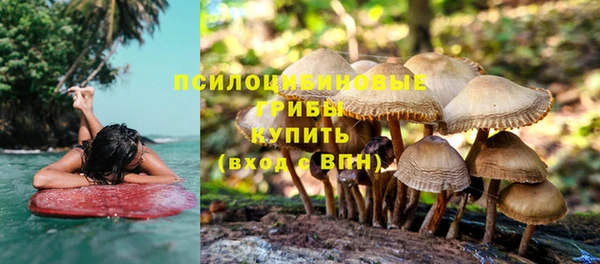 шишки Вязьма
