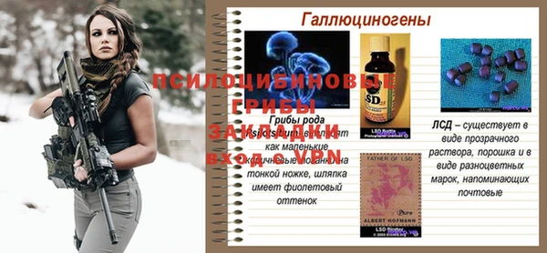 кокс Вяземский