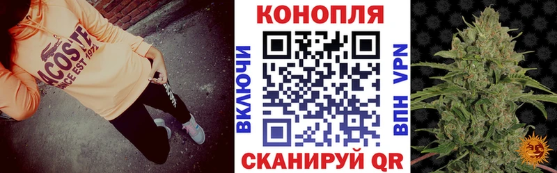 Каннабис гибрид  Купить закладки  Полярные Зори 